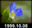 1999.10.08