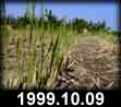 1999.10.09