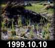 1999.10.10