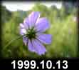 1999.10.13
