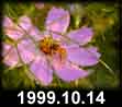 1999.10.14
