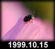 1999.10.15