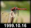 1999.10.16