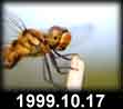 1999.10.17