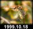 1999.10.18