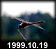 1999.10.19