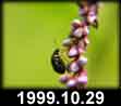 1999.10.29