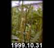 1999.10.31