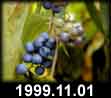1999.11.01