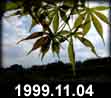 1999.11.04