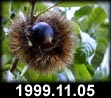 1999.11.05