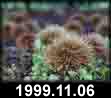 1999.11.06