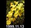 1999.11.13