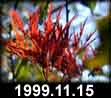 1999.11.15