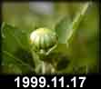 1999.11.17