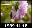1999.11.18
