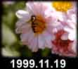 1999.11.19