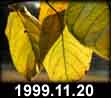 1999.11.20