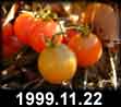 1999.11.22