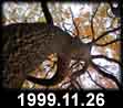 1999.11.26
