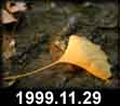 1999.11.29