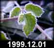 1999.12.01
