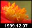1999.12.07