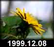 1999.12.08