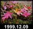 1999.12.09