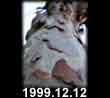 1999.12.12