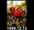 1999.12.13
