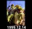 1999.12.14