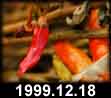 1999.12.18
