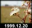 1999.12.20