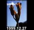 1999.12.27