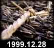 1999.12.28