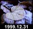 1999.12.31