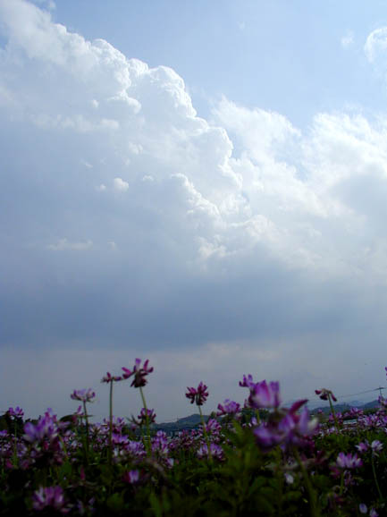 ւf - 2000.05.06