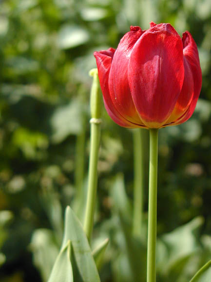 2001.04.21