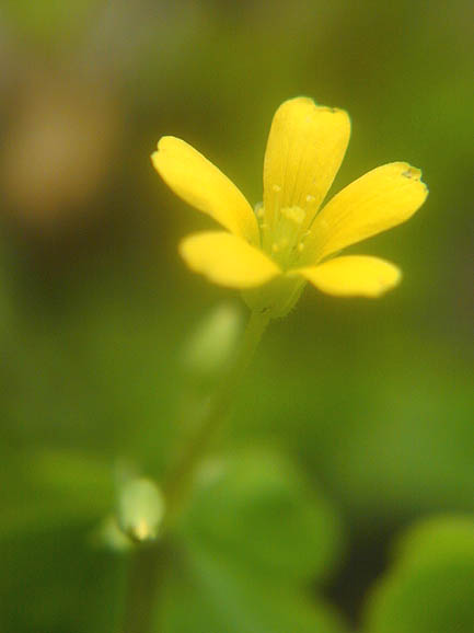 2001.06.30