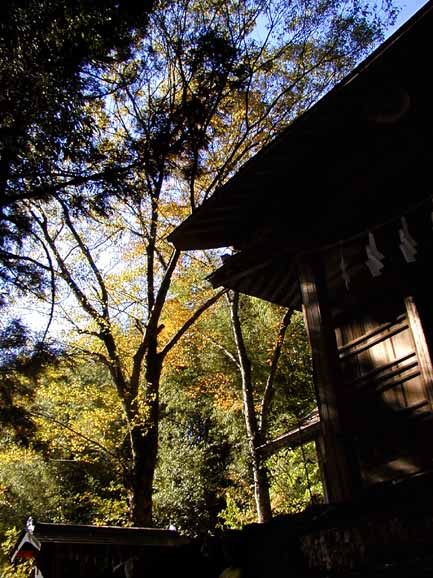 2001.11.05