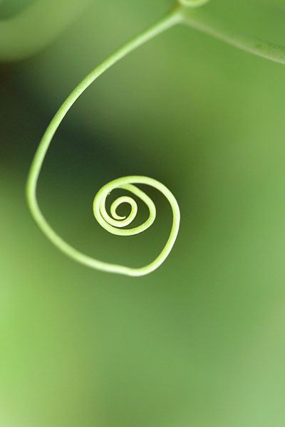 2002.05.10 - A