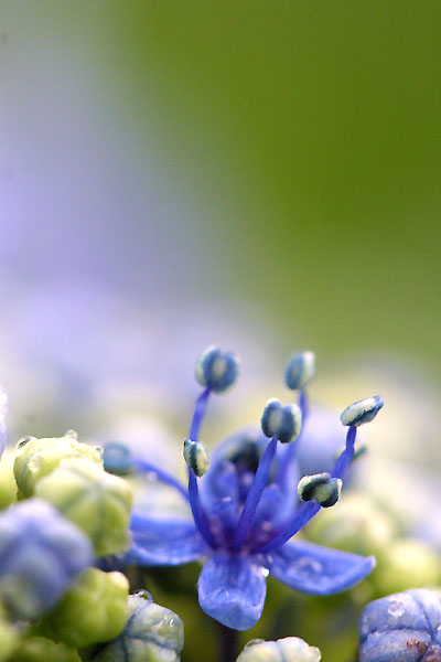 2002.06.23