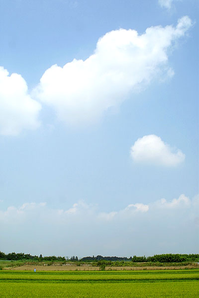 2002.08.26